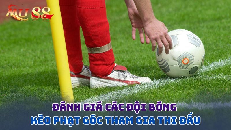 Đánh giá các đội bóng tham gia thi đấu