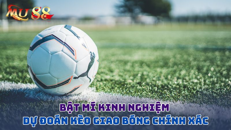 Bật mí kinh nghiệm dự đoán chính xác