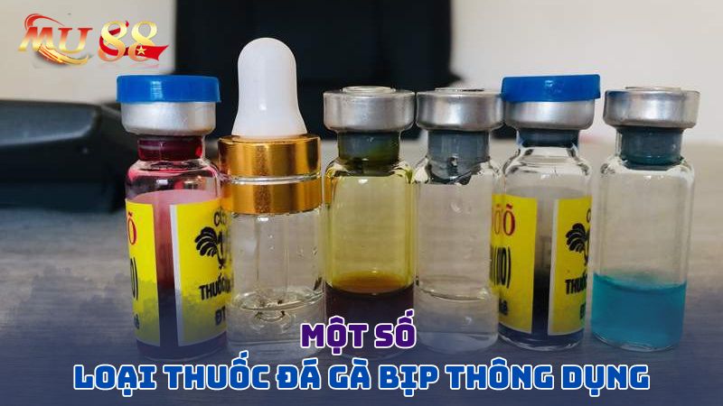 Một số loại thuốc đá gà bịp thông dụng